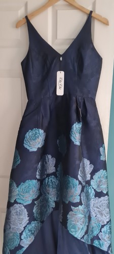 Stunning bnwt chi - chi, dress