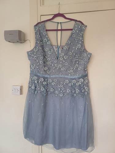 Chi london women - london, blue